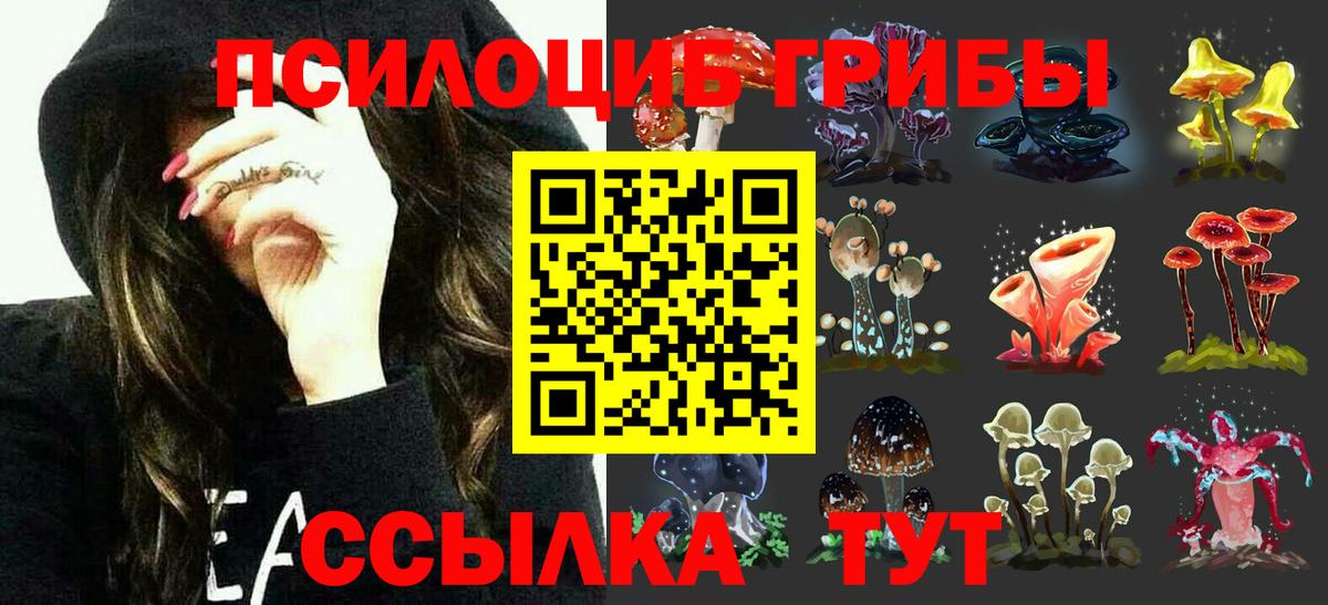 Железногорск  Псилоцибиновые грибы мицелий  Вход с VPN 