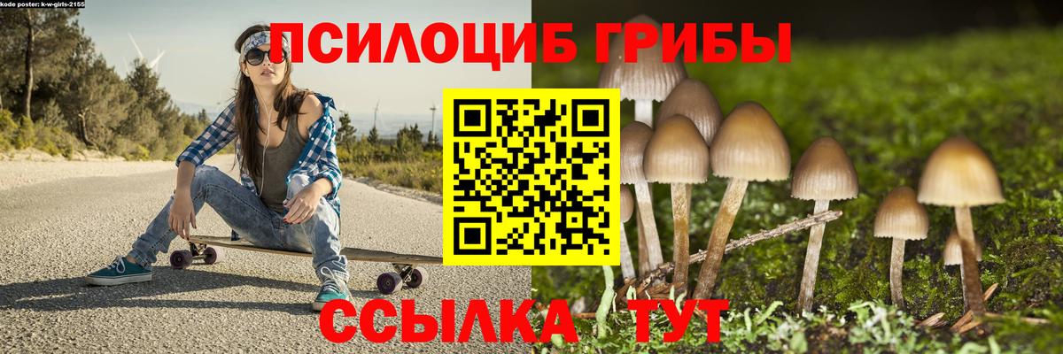 Галлюциногенные грибы Psilocybe Железногорск